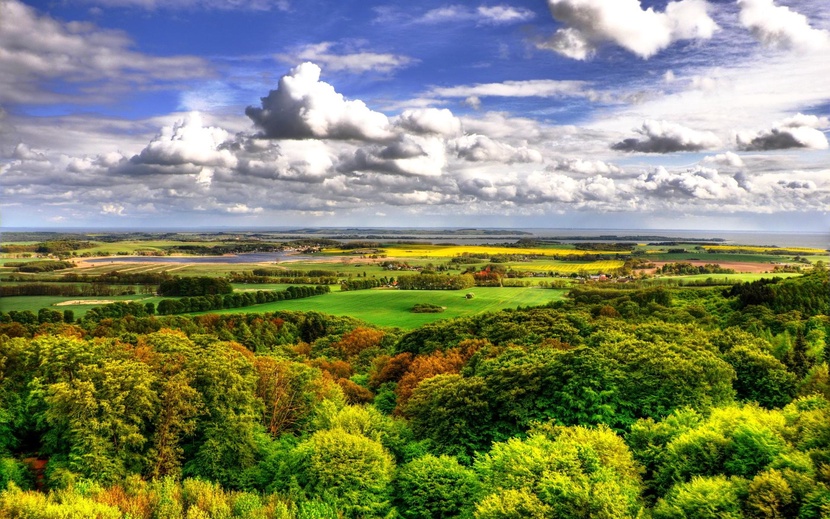 Мы перезвоним